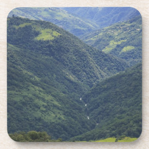 Farmlands and Himalaya forest in Mangdue valley Coaster