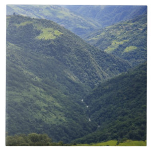 Farmlands and Himalaya forest in Mangdue valley Tile