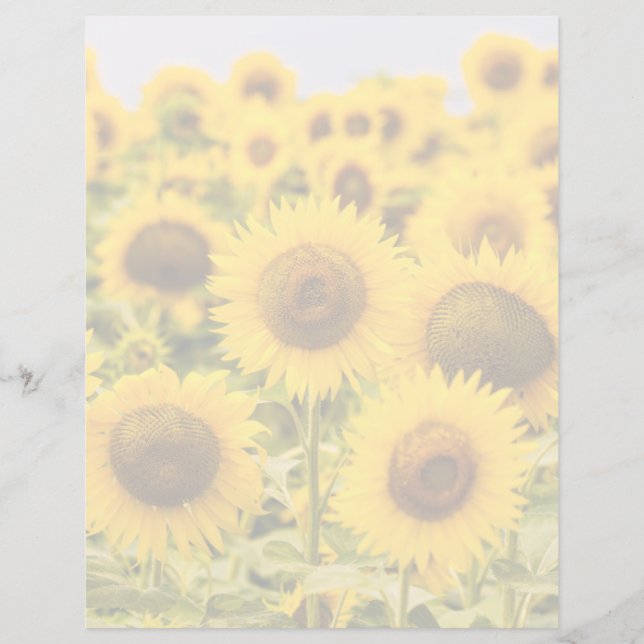Farms | A Sunflower Field (Front)
