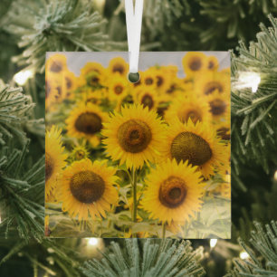 Farms   A Sunflower Field Glass Tree Decoration