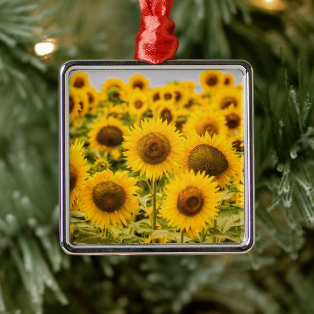 Farms | A Sunflower Field Metal Tree Decoration (Tree)