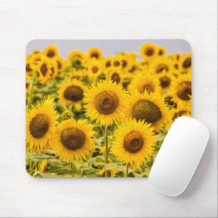 Farms   A Sunflower Field Mouse Mat