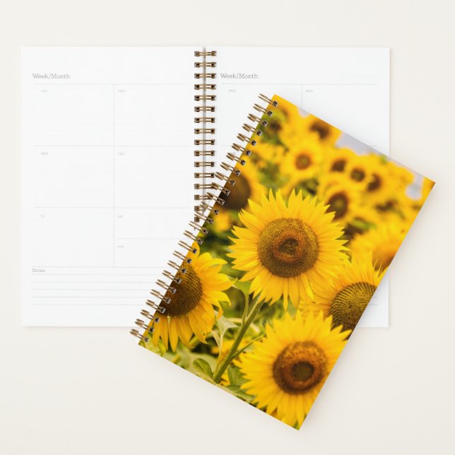 Farms | A Sunflower Field Planner (Display)
