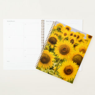 Farms   A Sunflower Field Planner