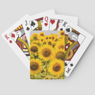 Farms   A Sunflower Field Playing Cards