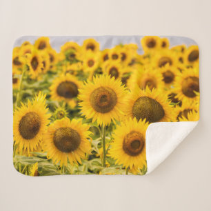 Farms   A Sunflower Field Sherpa Blanket