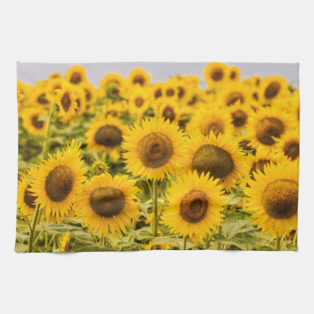 Farms | A Sunflower Field Tea Towel (Horizontal)