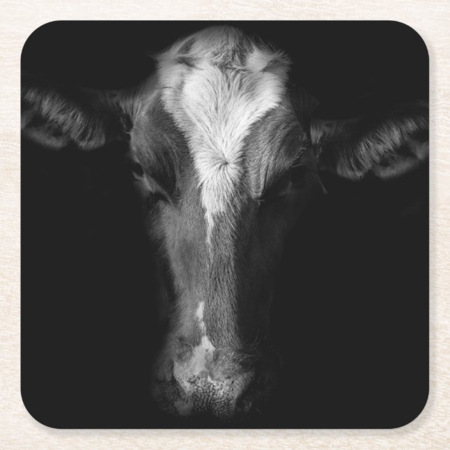 Farms | B&W Cow Head Shot Square Paper Coaster (Front)