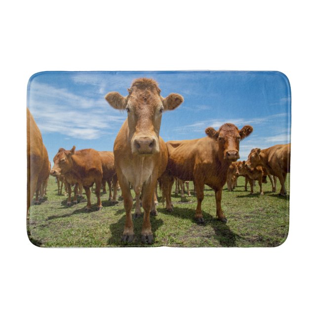 Farms | Brown Cow Group Bath Mat (Front)
