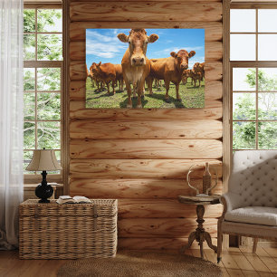 Farms   Brown Cow Group Canvas Print