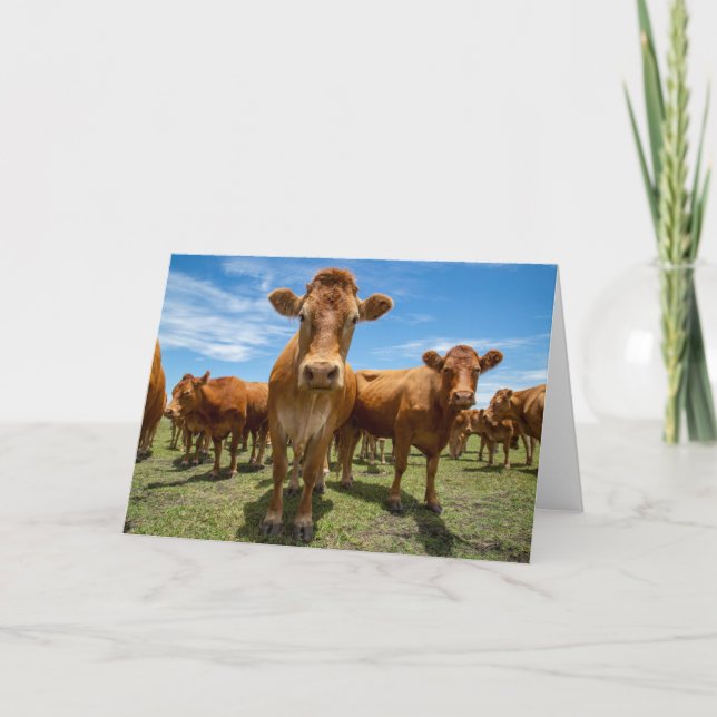 Farms | Brown Cow Group Card (Front)