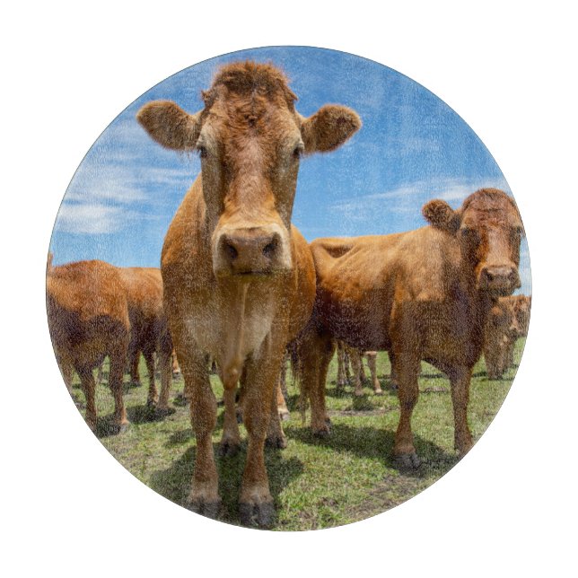 Farms | Brown Cow Group Cutting Board (Front)