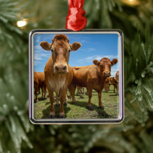 Farms   Brown Cow Group Metal Tree Decoration
