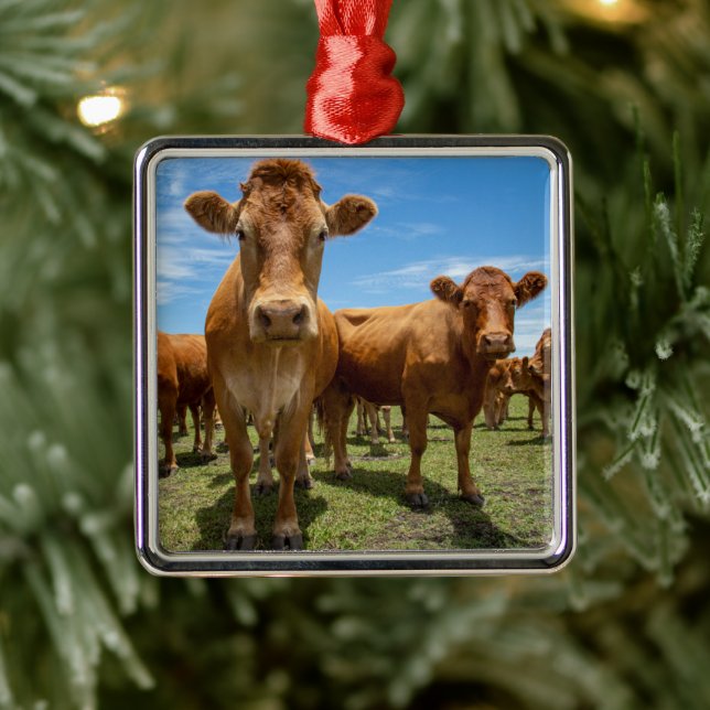 Farms | Brown Cow Group Metal Tree Decoration (Tree)