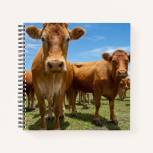 Farms   Brown Cow Group Notebook
