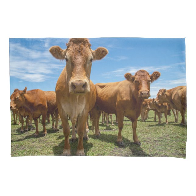 Farms | Brown Cow Group Pillowcase (Front)