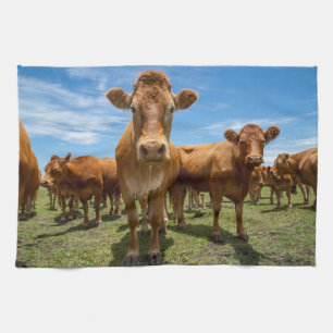 Farms   Brown Cow Group Tea Towel
