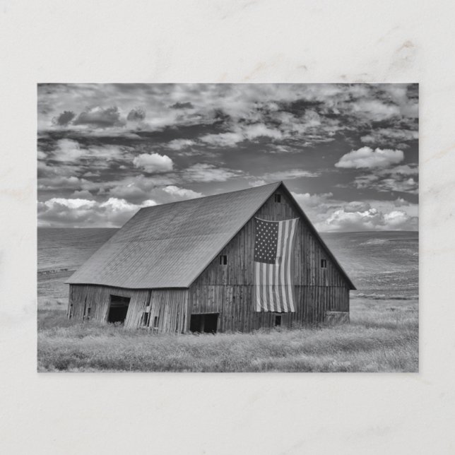 Farms | BW American Flag Barn Scene Postcard (Front)