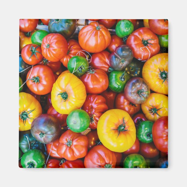 Farms | Colorful Tomato Harvest Magnet (Front)