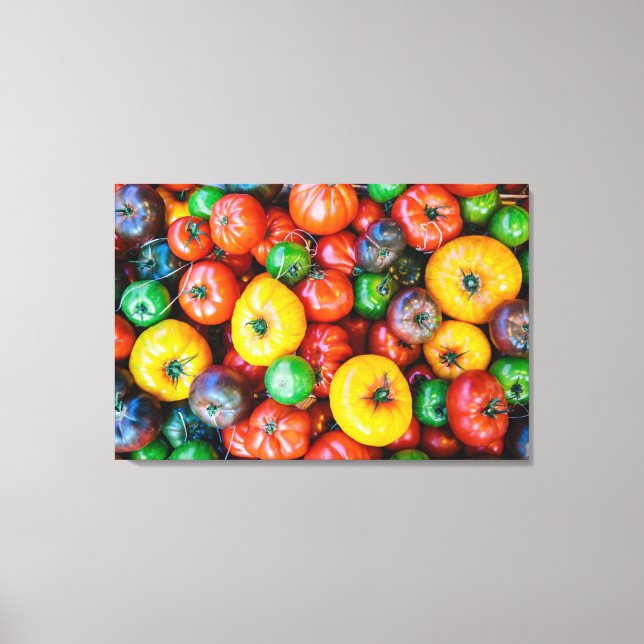 Farms | Colourful Tomato Harvest Canvas Print (Front)