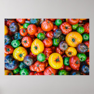 Farms   Colourful Tomato Harvest Poster