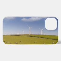 Farms | Cows Near Windmill Farm