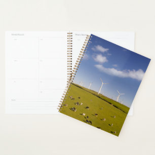 Farms Cows Near Windmill Farm Planner