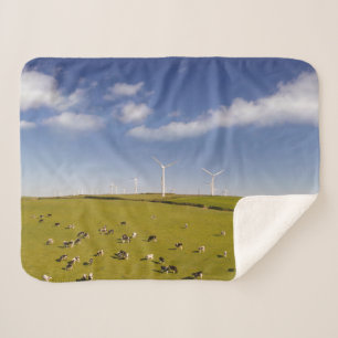 Farms   Cows Near Windmill Farm Sherpa Blanket