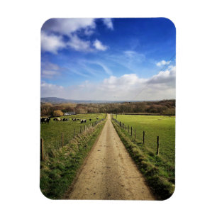 Farms English Countryside Dirt Road Magnet