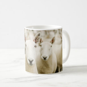 Farms   Herd of Sheep Coffee Mug
