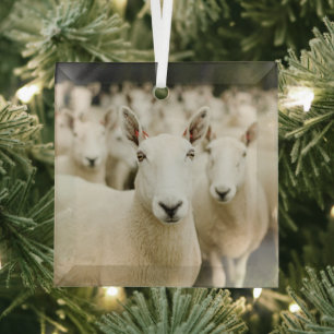 Farms   Herd of Sheep Glass Tree Decoration