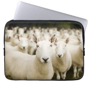 Farms Herd of Sheep Laptop Sleeve