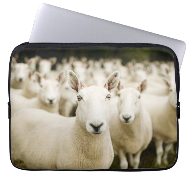 Farms | Herd of Sheep Laptop Sleeve (Front)