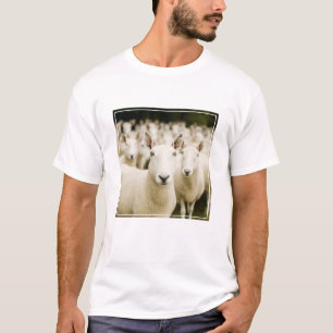 Farms Herd of Sheep T-Shirt