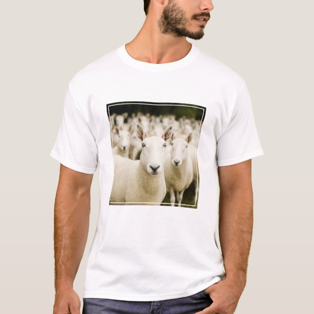 Farms | Herd of Sheep T-Shirt (Front)