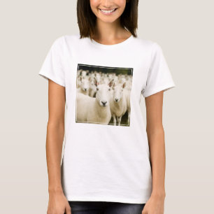 Farms Herd of Sheep T-Shirt