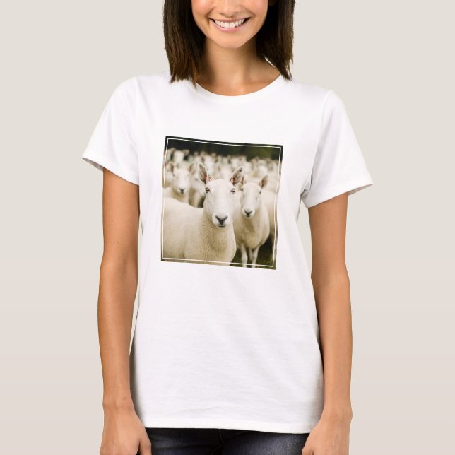 Farms | Herd of Sheep T-Shirt (Front)