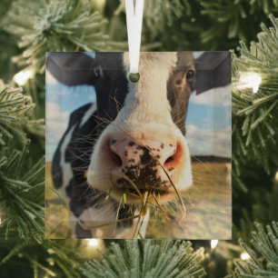Farms   Holstein Cow Chewing Glass Tree Decoration