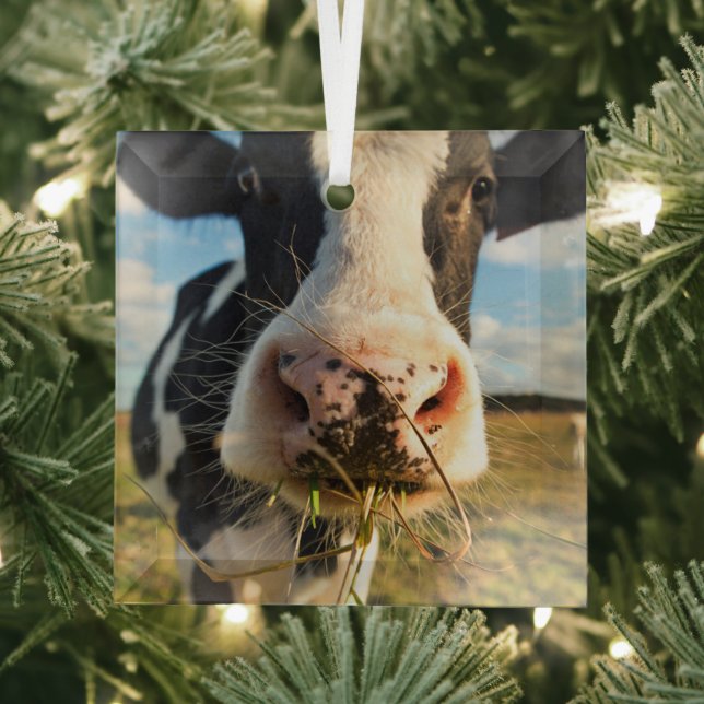 Farms | Holstein Cow Chewing Glass Tree Decoration (Insitu)