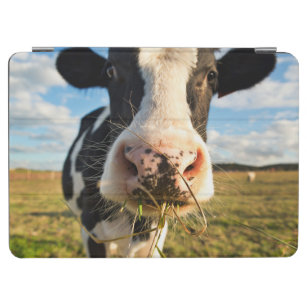 Farms   Holstein Cow Chewing iPad Air Cover
