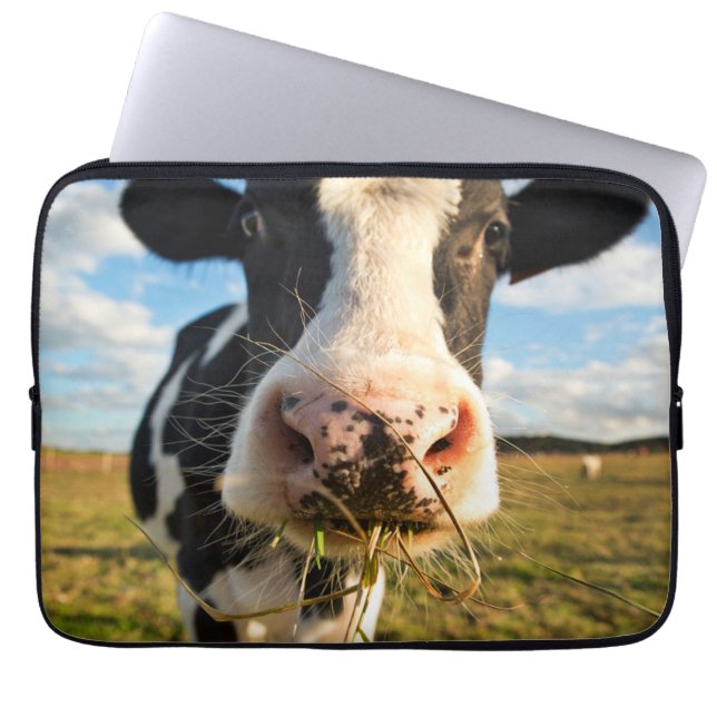 Farms | Holstein Cow Chewing Laptop Sleeve (Front)