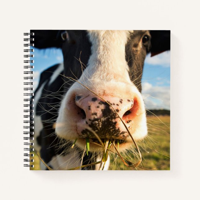 Farms | Holstein Cow Chewing Notebook (Front)