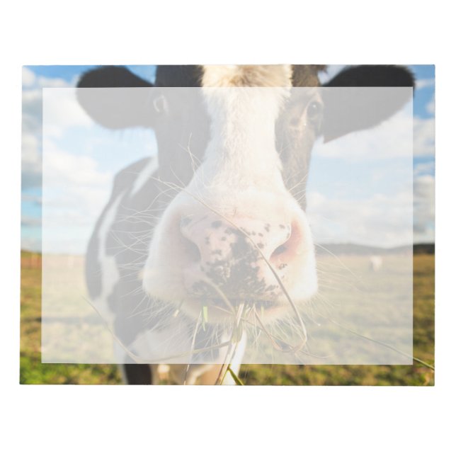 Farms | Holstein Cow Chewing Notepad (Front)