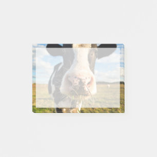 Farms Holstein Cow Chewing Post-it Notes