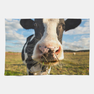 Farms   Holstein Cow Chewing Tea Towel