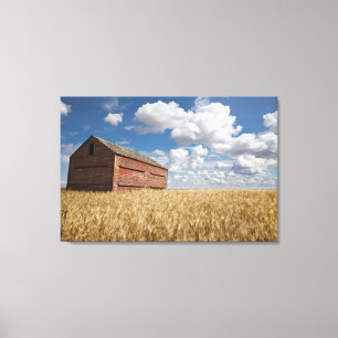 Farms   Old Red Barn in Wheat Field Canvas Print