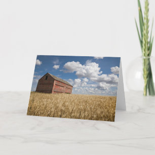 Farms Old Red Barn in Wheat Field Card