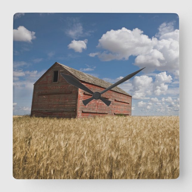 Farms | Old Red Barn in Wheat Field Square Wall Clock (Front)