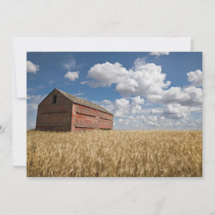 Farms   Old Red Barn in Wheat Field Thank You Card