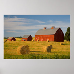 Farms Red Barns Near Hay Bales Poster
